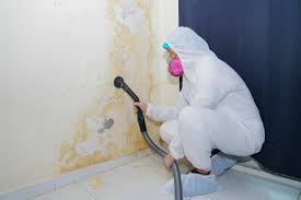 Best Industrial Mold Remediation  in Burnsville, NC